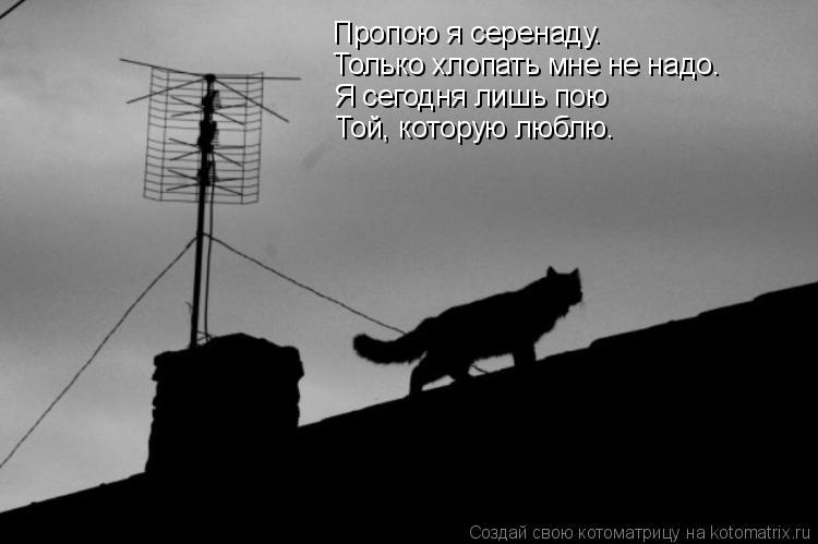 Пропою я серенаду. Только хлопать мне не надо. Я сегодня лишь пою Той, которую люблю.... Котоматрица: Пропою я серенаду. Только хлопать мне не надо. Я сегодня лишь пою Той, которую люблю.