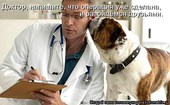 Доктор, напишите, что операция уже сделана, и разойдёмся друзьями.... Котоматрица: Доктор, напишите, что операция уже сделана, и разойдёмся друзьями.