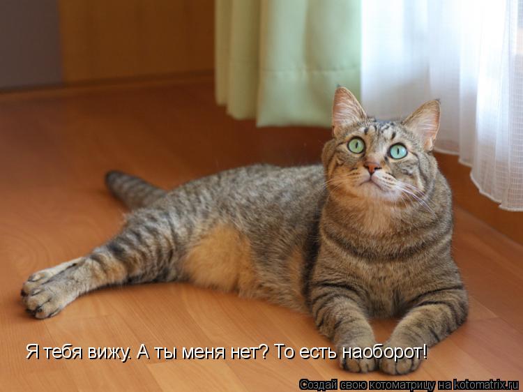 Я тебя вижу. А ты меня нет? То есть наоборот!... Котоматрица: Я тебя вижу. А ты меня нет? То есть наоборот!