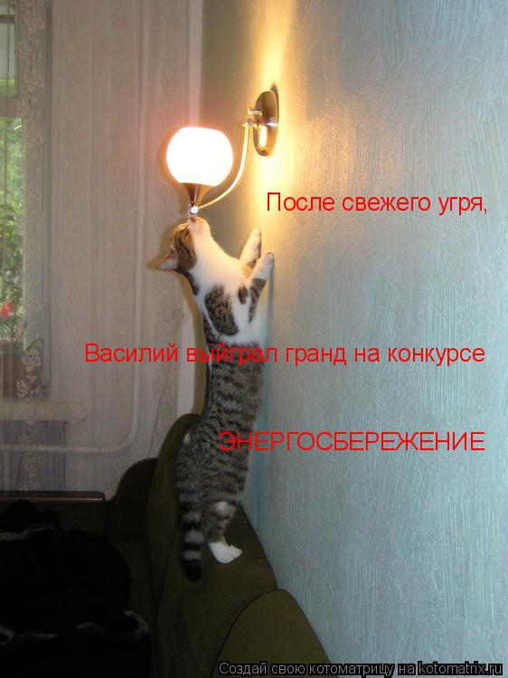 После свежего угря, Василий выйграл гранд на конкурсе ЭНЕРГОСБЕРЕЖЕНИЕ... Котоматрица: После свежего угря, Василий выйграл гранд на конкурсе ЭНЕРГОСБЕРЕЖЕНИЕ