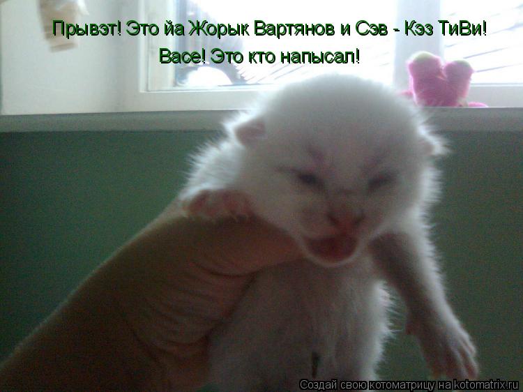 Прывэт! Это йа Жорык Вартянов и Сэв - Кэз ТиВи! Васе! Это кто напысал!... Котоматрица: Прывэт! Это йа Жорык Вартянов и Сэв - Кэз ТиВи! Васе! Это кто напысал!