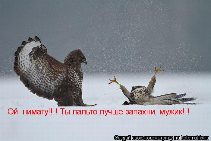 Ой, нимагу!!!! Ты пальто лучше запахни, мужик!!! Ой, нимагу!!!! Ты пальто лучше запахни, мужик!!!... Котоматрица: Ой, нимагу!!!! Ты пальто лучше запахни, мужик!!! Ой, нимагу!!!! Ты пальто лучше запахни, мужик!!!