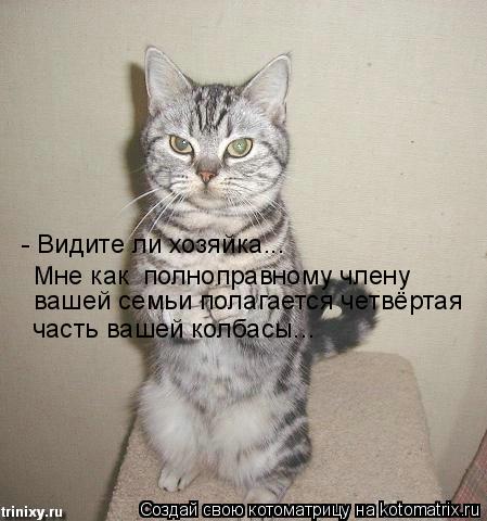 - Видите ли хозяйка... вашей семьи полагается четвёртая часть вашей колбасы... Мне как полноправном... Котоматрица: - Видите ли хозяйка... вашей семьи полагается четвёртая часть вашей колбасы... Мне как полноправному члену