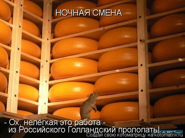 НОЧНАЯ СМЕНА - Ох, нелёгкая это работа - из Российского Голландский пролопать!... Котоматрица: НОЧНАЯ СМЕНА - Ох, нелёгкая это работа - из Российского Голландский пролопать!
