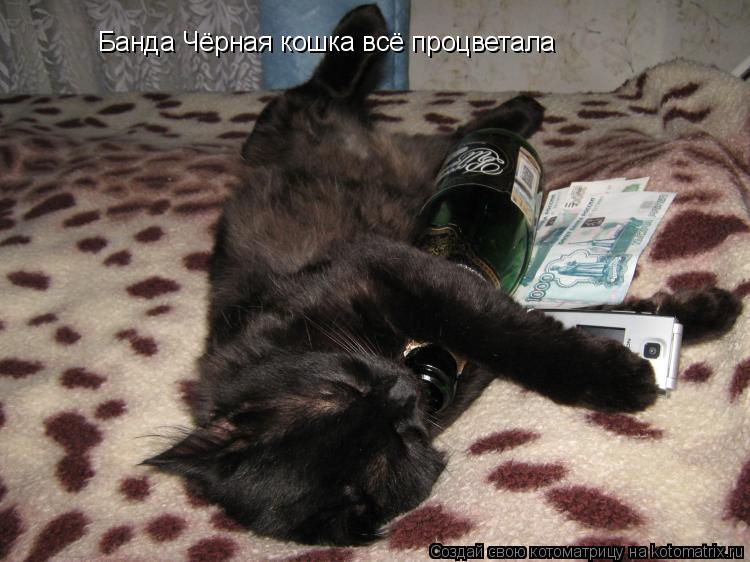Банда Чёрная кошка всё процветала... Котоматрица: Банда Чёрная кошка всё процветала