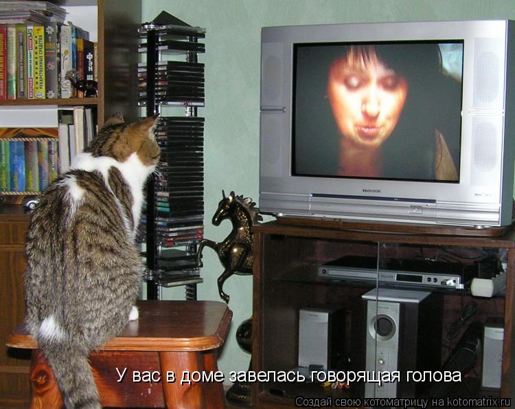 У вас в доме завелась говорящая голова... Котоматрица: У вас в доме завелась говорящая голова