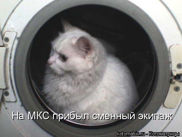 На МКС прибыл сменный экипаж... Котоматрица: На МКС прибыл сменный экипаж