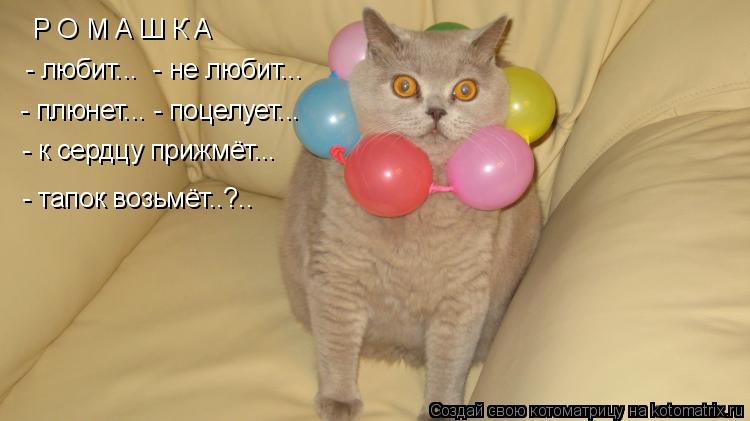 Р О М А Ш К А - любит... - не любит... - плюнет... - поцелует... - к сердцу прижмёт... - тапок возьм... Котоматрица: Р О М А Ш К А - любит... - не любит... - плюнет... - поцелует... - к сердцу прижмёт... - тапок возьмёт..?..