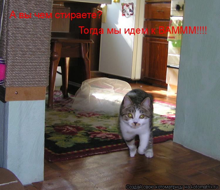 А вы чем стираете? Тогда мы идем к ВАМММ!!!!... Котоматрица: А вы чем стираете? Тогда мы идем к ВАМММ!!!!