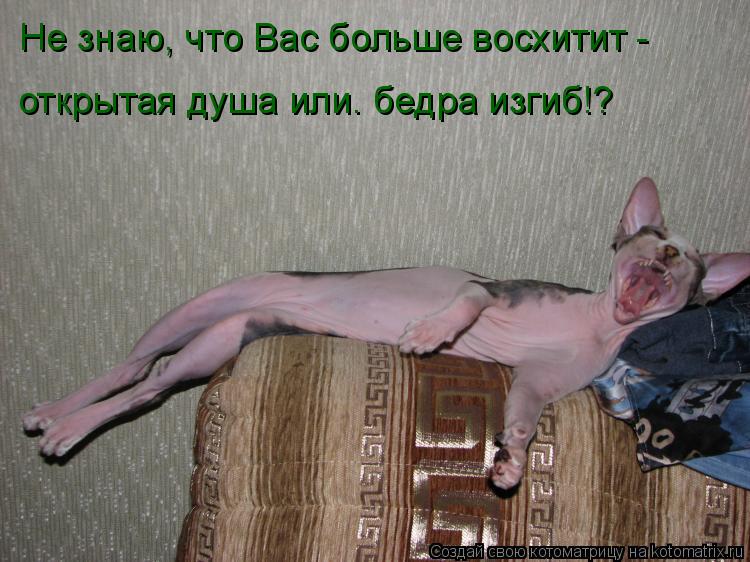 Не знаю, что Вас больше восхитит - открытая душа или… бедра изгиб!?... Котоматрица: Не знаю, что Вас больше восхитит - открытая душа или… бедра изгиб!?