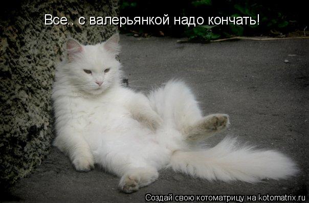 Все.. с валерьянкой надо кончать!... Котоматрица: Все.. с валерьянкой надо кончать!