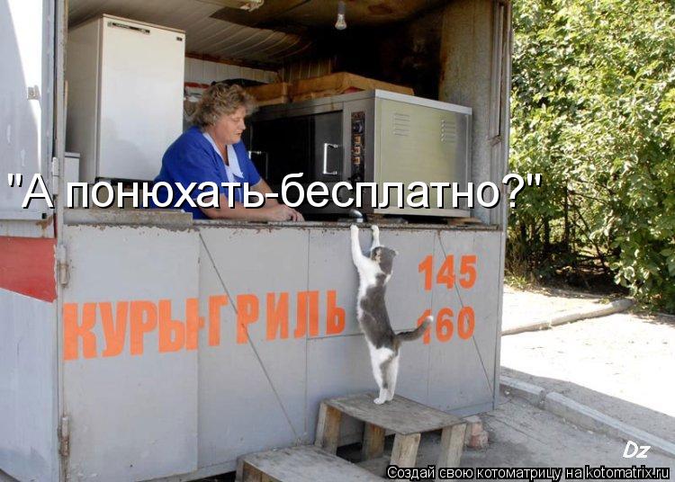 Котоматрица: "А понюхать-бесплатно?"