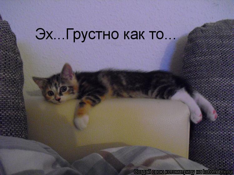 Эх...Грустно как то...... Котоматрица: Эх...Грустно как то...