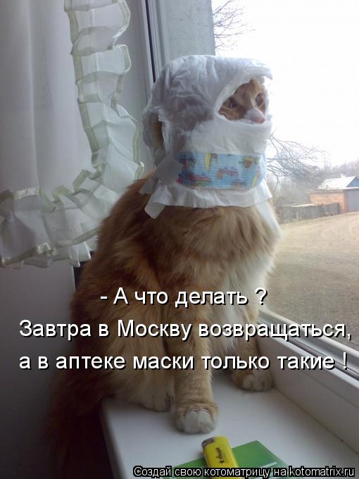Котоматрица: - А что делать ? Завтра в Москву возвращаться, а в аптеке маски только такие !