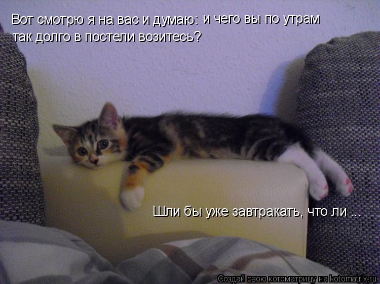 Котоматрица: Вот смотрю я на вас и думаю: и чего вы по утрам  так долго в постели возитесь?  Шли бы уже завтракать, что ли ...