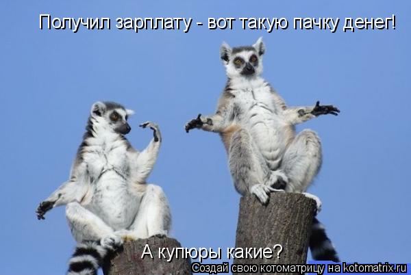 Получил зарплату - вот такую пачку денег! А купюры какие?... Котоматрица: Получил зарплату - вот такую пачку денег! А купюры какие?