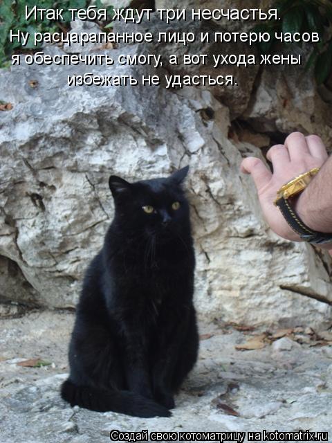 Итак тебя ждут три несчастья. Ну расцарапанное лицо и потерю часов я обеспечить смогу, а вот ухода же... Котоматрица: Итак тебя ждут три несчастья. Ну расцарапанное лицо и потерю часов я обеспечить смогу, а вот ухода жены избежать не удасться.