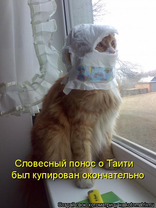 Словесный понос о Таити был купирован окончательно... Котоматрица: Словесный понос о Таити был купирован окончательно