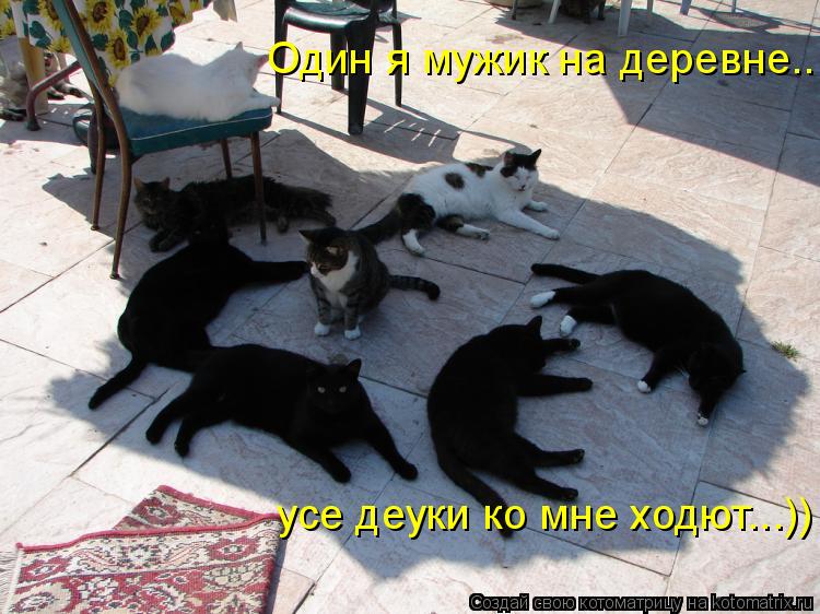 Один я мужик на деревне... усе деуки ко мне ходют...))... Котоматрица: Один я мужик на деревне... усе деуки ко мне ходют...))