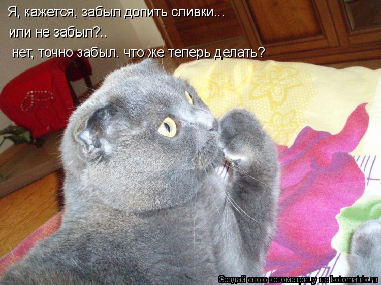 Котоматрица: Я, кажется, забыл допить сливки... или не забыл?.. нет, точно забыл. что же теперь делать?