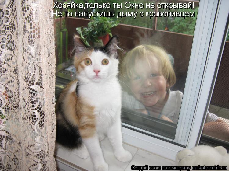 Котоматрица: Хозяйка,только ты Окно не открывай!  Не то напустишь дыму с кровопивцем.