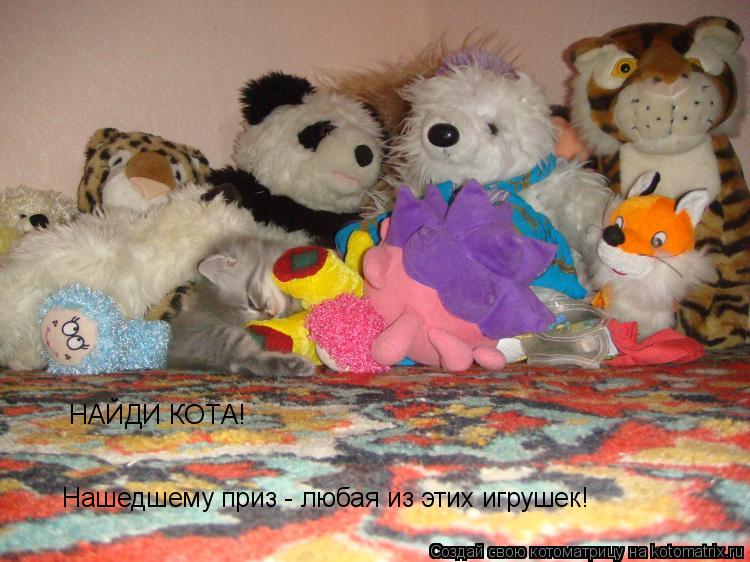 Котоматрица: НАЙДИ КОТА! Нашедшему приз - любая из этих игрушек!