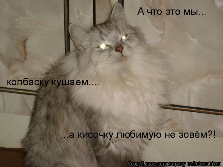 Котоматрица: колбаску кушаем.... ...а кисочку любимую не зовём?! А что это мы...