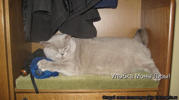 Котоматрица: Улыбка Моны Лизы!