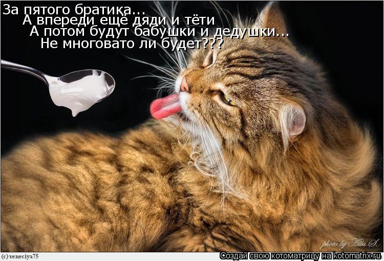 За пятого братика... А впереди ещё дяди и тёти А потом будут бабушки и дедушки... Не многовато ли буд... Котоматрица: За пятого братика... А впереди ещё дяди и тёти А потом будут бабушки и дедушки... Не многовато ли будет???