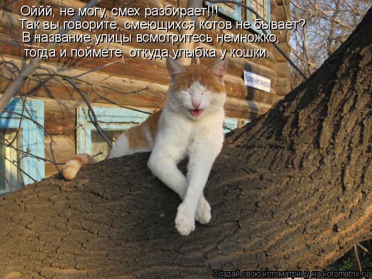 Оййй, не могу, смех разбирает!!! Так вы говорите, смеющихся котов не бывает? В название улицы всмотри... Котоматрица: Оййй, не могу, смех разбирает!!! Так вы говорите, смеющихся котов не бывает? В название улицы всмотритесь немножко, тогда и поймёте, откуда ул