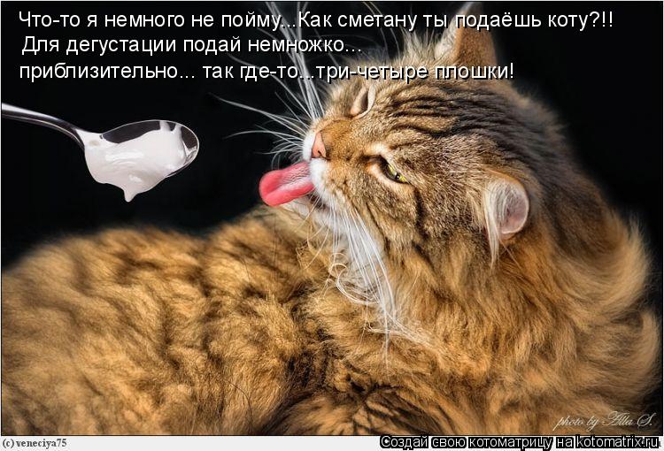 Что-то я немного не пойму...Как сметану ты подаёшь коту?!! Для дегустации подай немножко... приблизит... Котоматрица: Что-то я немного не пойму...Как сметану ты подаёшь коту?!! Для дегустации подай немножко... приблизительно... так где-то...три-четыре плошки!