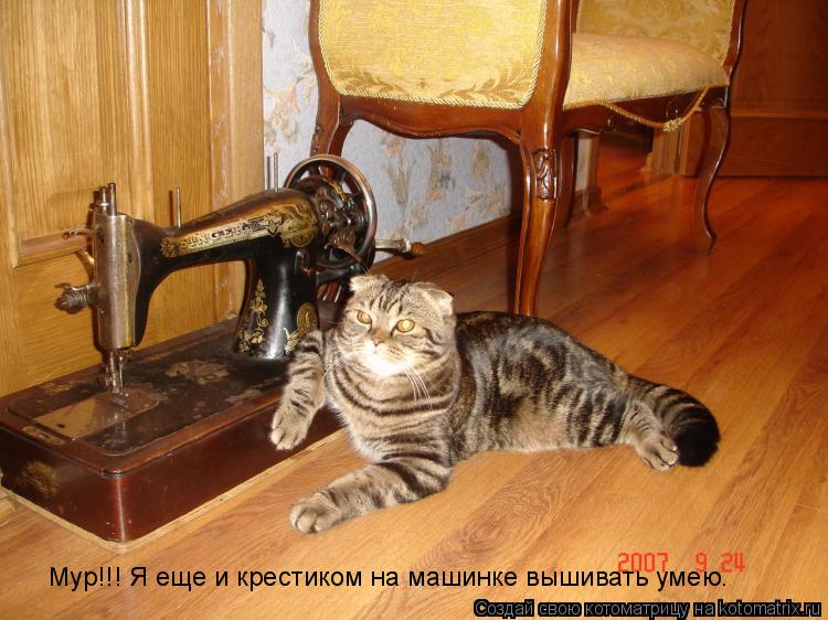 Котоматрица: Mур!!! Я еще и крестиком на машинке вышивать умею.