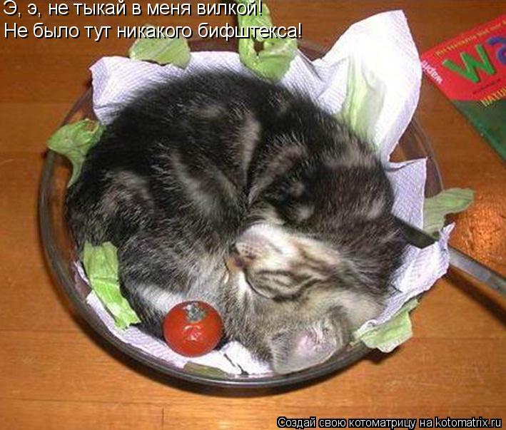 Котоматрица: Не было тут никакого бифштекса! Э, э, не тыкай в меня вилкой!