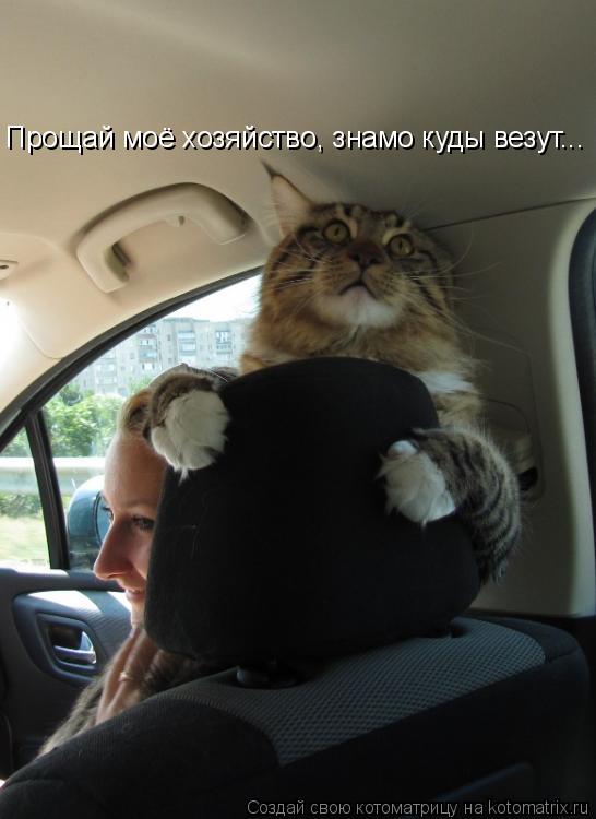 Котоматрица: Прощай моё хозяйство, знамо куды везут...
