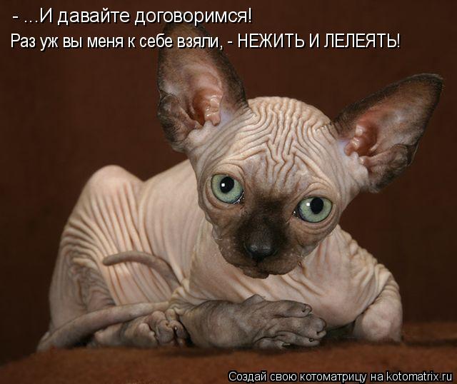 - ...И давайте договоримся! Раз уж вы меня к себе взяли, - НЕЖИТЬ И ЛЕЛЕЯТЬ!... Котоматрица: - ...И давайте договоримся! Раз уж вы меня к себе взяли, - НЕЖИТЬ И ЛЕЛЕЯТЬ!