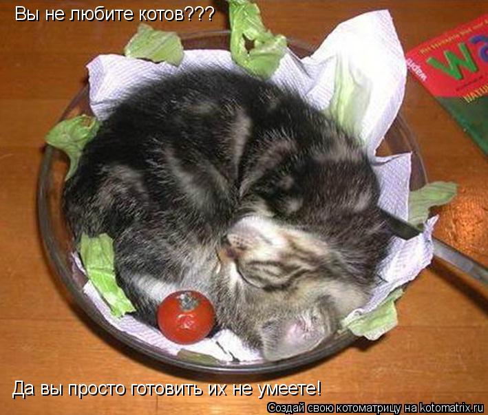 Котоматрица: Вы не любите котов??? Да вы просто готовить их не умеете!