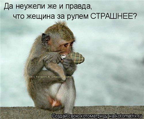 Да неужели же и правда, что жещина за рулем СТРАШНЕЕ?... Котоматрица: Да неужели же и правда, что жещина за рулем СТРАШНЕЕ?