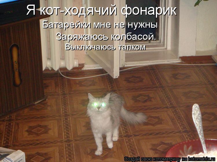 Я кот-ходячий фонарик Батарейки мне не нужны Заряжаюсь колбасой. Выключаюсь тапком... Котоматрица: Я кот-ходячий фонарик Батарейки мне не нужны Заряжаюсь колбасой. Выключаюсь тапком