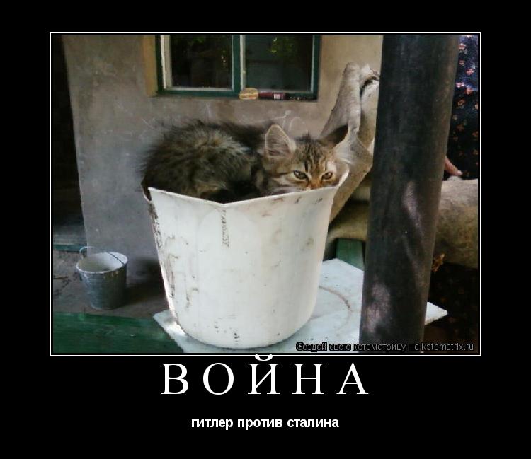 война гитлер против сталина... Котоматрица: война гитлер против сталина
