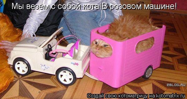 Мы везём с собой кота!В розовом машине!... Котоматрица: Мы везём с собой кота!В розовом машине!