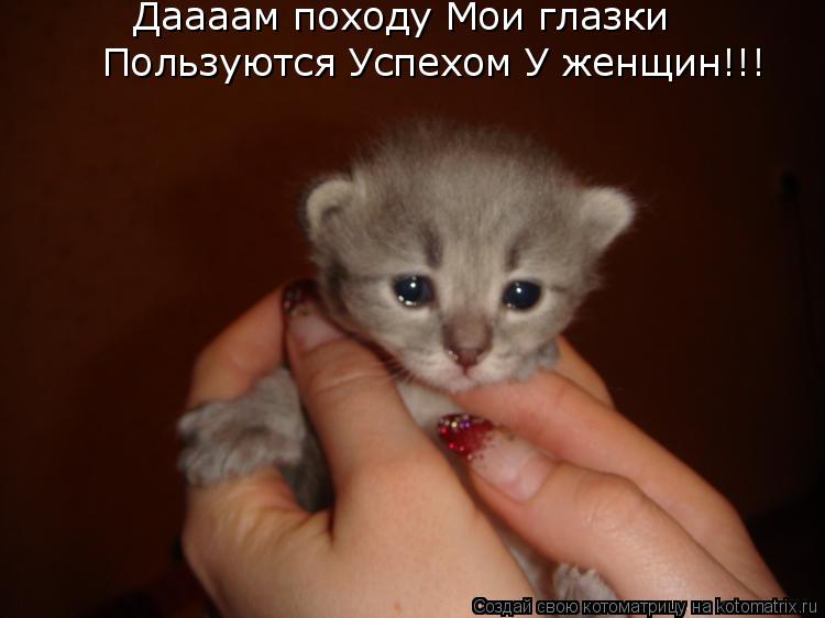 Котоматрица: Даааам походу Мои глазки Пользуются Успехом У женщин!!!