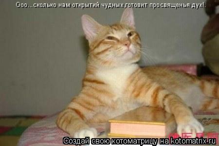 Котоматрица: Ооо...сколько нам открытий чудных,готовит просвященья дух!.