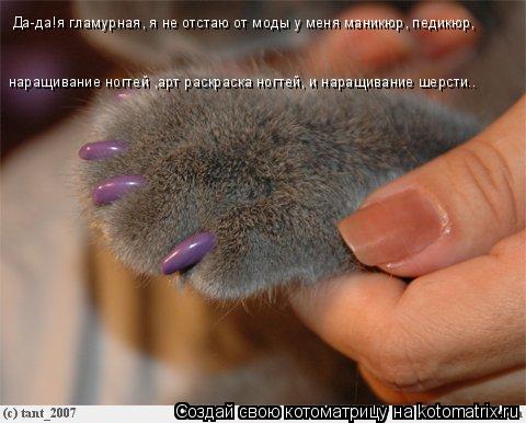 Да-да!я гламурная, я не отстаю от моды у меня маникюр, педикюр, наращивание ногтей ,арт раскраска но... Котоматрица: Да-да!я гламурная, я не отстаю от моды у меня маникюр, педикюр, наращивание ногтей ,арт раскраска ногтей, и наращивание шерсти..