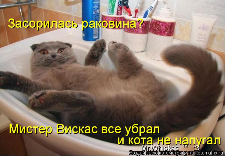 Засорилась раковина? Мистер Вискас все убрал и кота не напугал Mr.Whiskas ;З тм... Котоматрица: Засорилась раковина? Мистер Вискас все убрал и кота не напугал Mr.Whiskas ;З тм