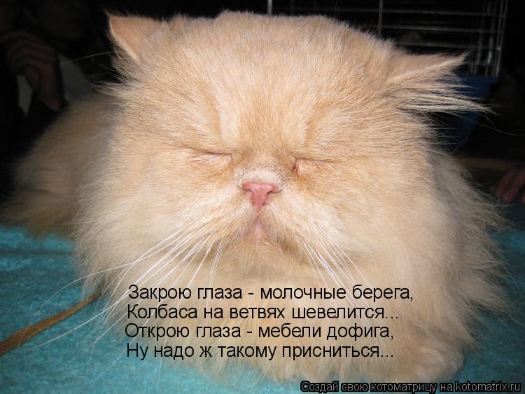 Закрою глаза - молочные берега, Колбаса на ветвях шевелится... Открою глаза - мебели дофига, Ну надо ... Котоматрица: Закрою глаза - молочные берега, Колбаса на ветвях шевелится... Открою глаза - мебели дофига, Ну надо ж такому присниться...