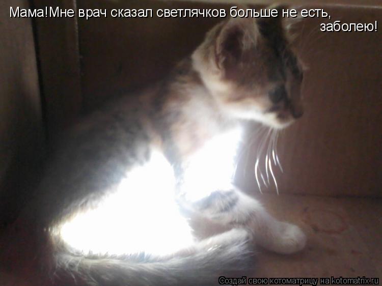 Мама!Мне врач сказал светлячков больше не есть, заболею!... Котоматрица: Мама!Мне врач сказал светлячков больше не есть, заболею!