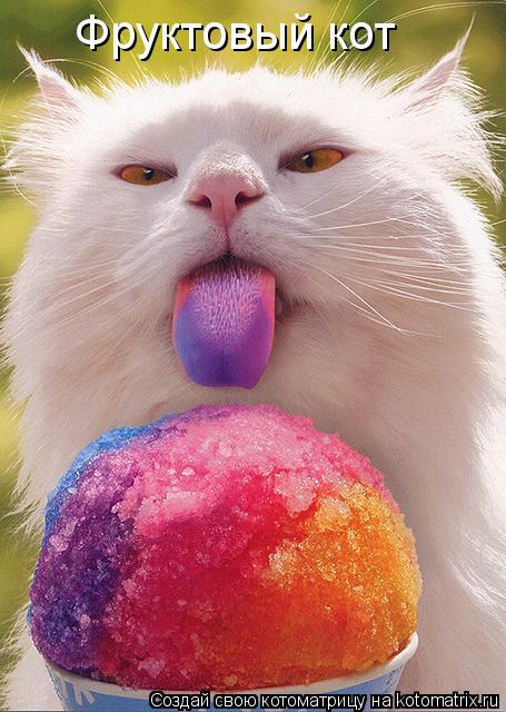 Фруктовый кот... Котоматрица: Фруктовый кот