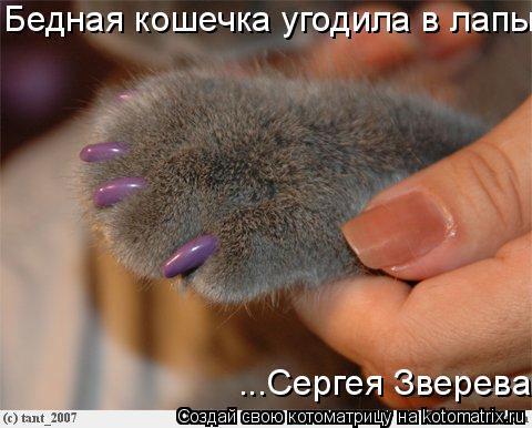 Бедная кошечка угодила в лапы ...Сергея Зверева... Котоматрица: Бедная кошечка угодила в лапы ...Сергея Зверева