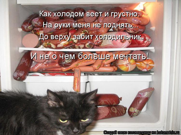 Как холодом веет и грустно. На руки меня не поднять... До верху забит холодильник. И не о чем больше ... Котоматрица: Как холодом веет и грустно. На руки меня не поднять... До верху забит холодильник. И не о чем больше мечтать!