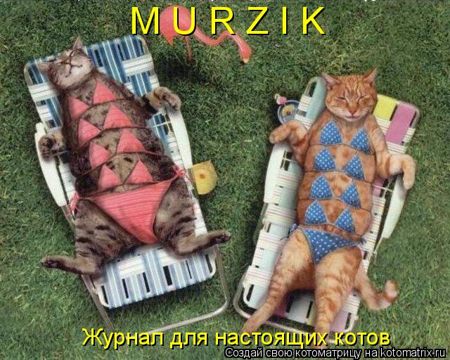 Котоматрица: M U R Z I K Журнал для настоящих котов